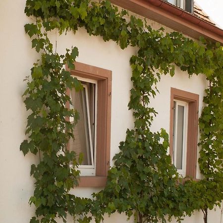 Ferienhaus Am Kuenstleratelier Riegel Εξωτερικό φωτογραφία