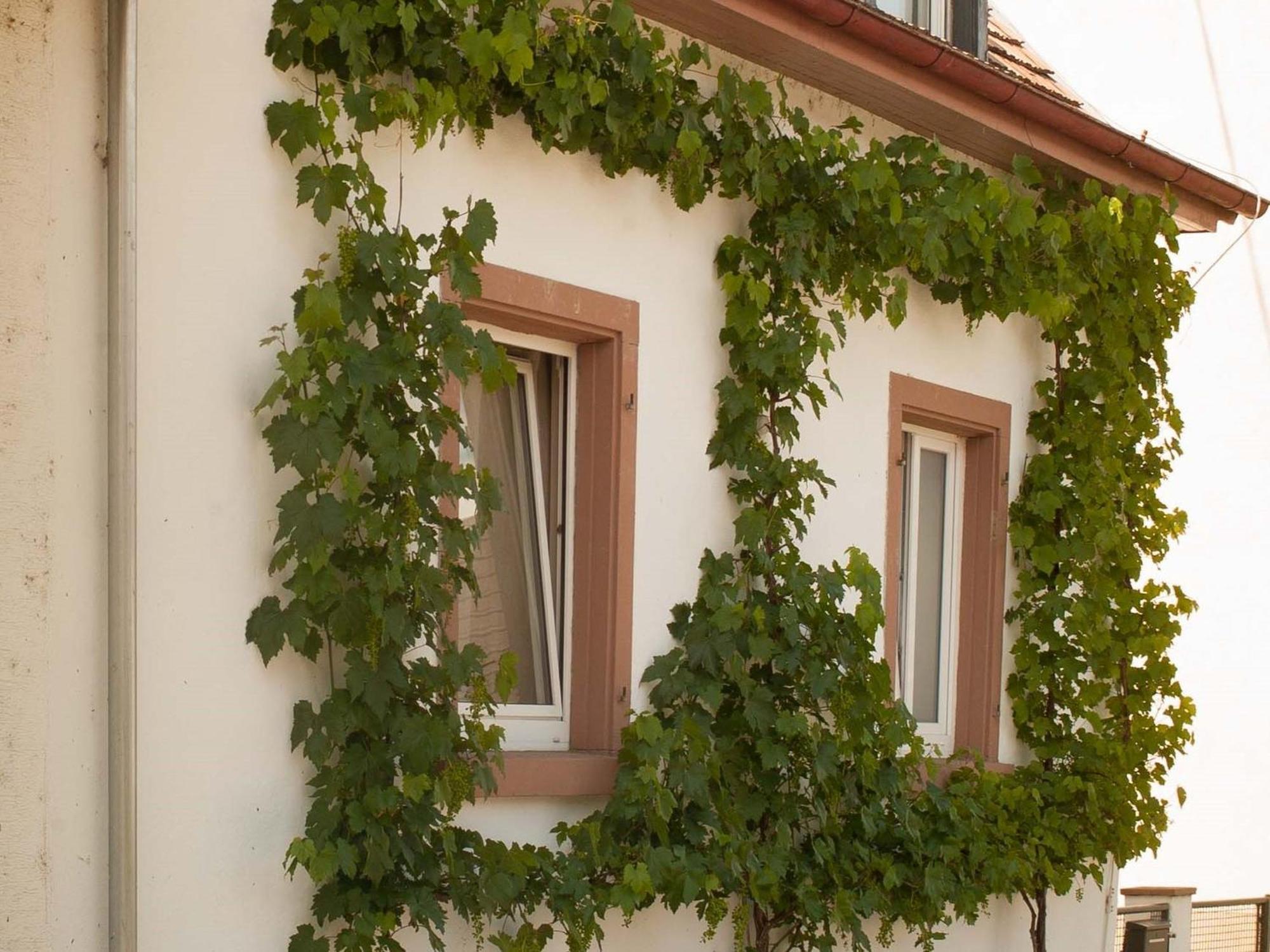 Ferienhaus Am Kuenstleratelier Riegel Εξωτερικό φωτογραφία